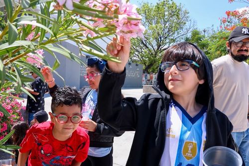 RECOLECTAN FLORES, HOJAS Y RAMAS PARA CREAR SUS OBRAS LOS “PEQUEÑOS ARTISTAS DEL PLANETA”